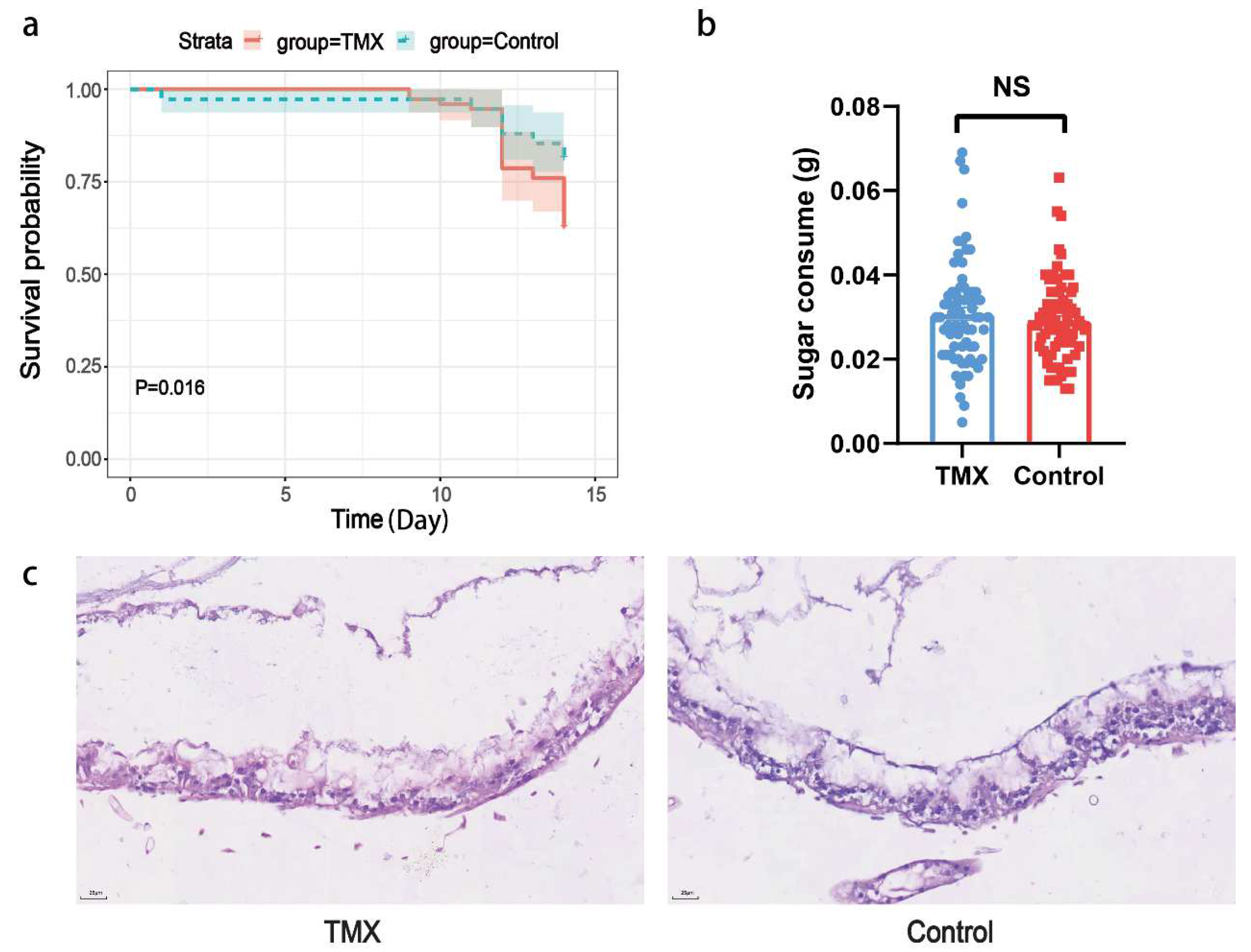 Insects 16 00372 g001
