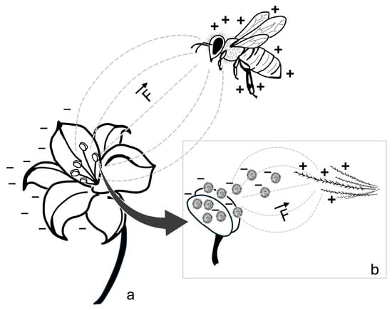Insects 16 00373 g001