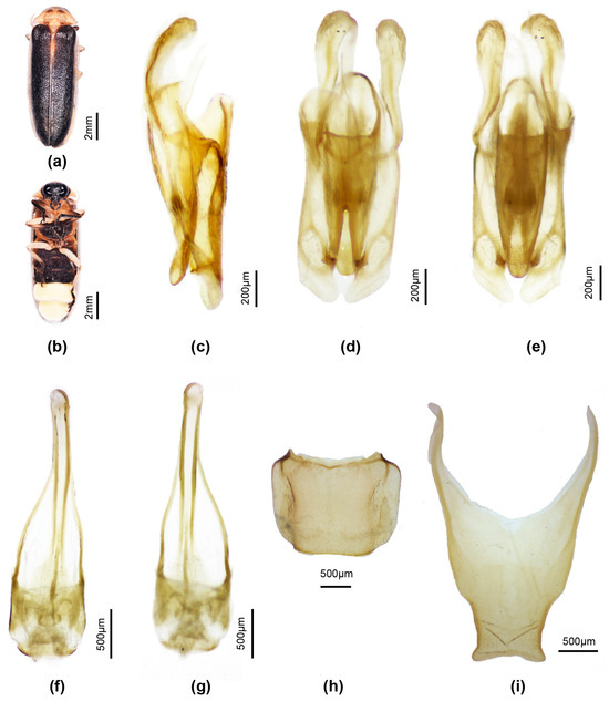 Insects 16 00394 g003