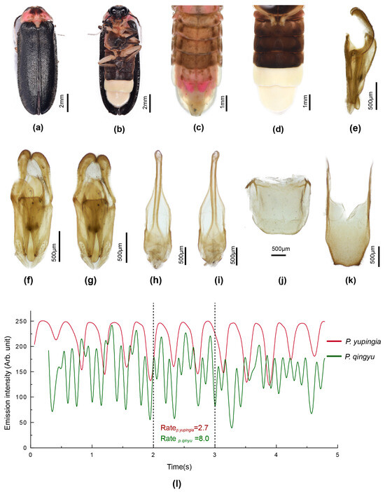 Insects 16 00394 g007