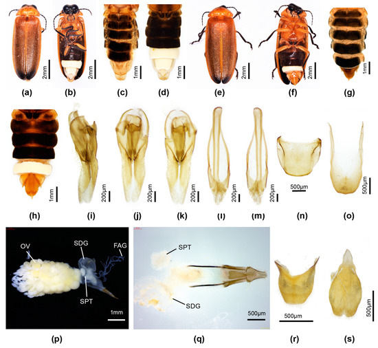Insects 16 00394 g008