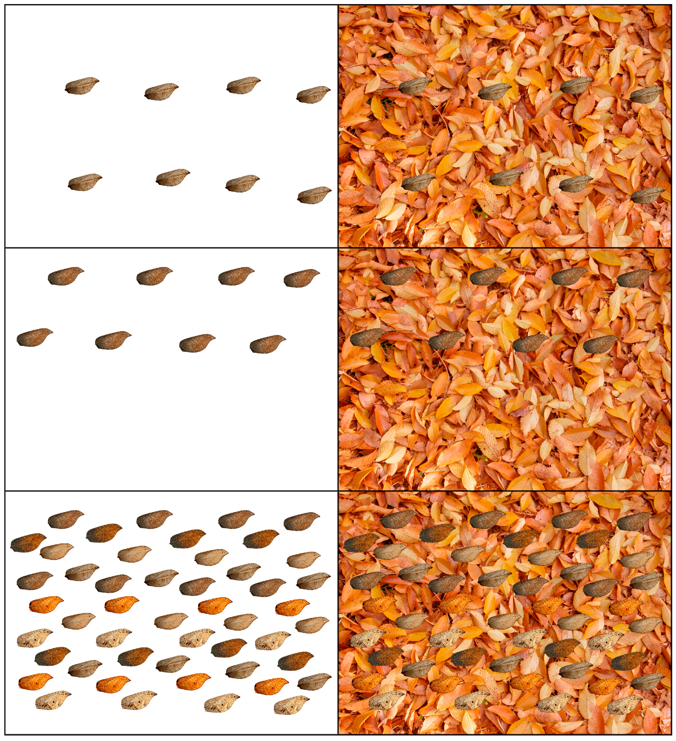 Insects 16 00401 g006