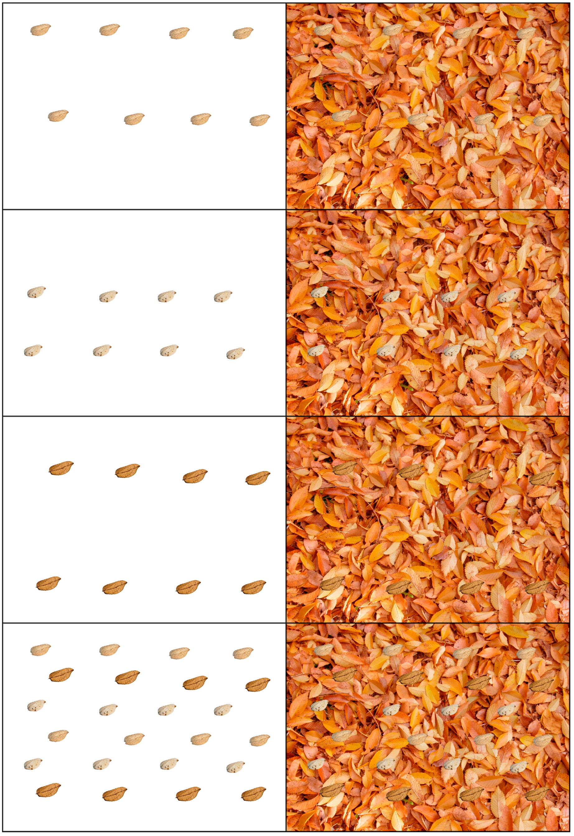 Insects 16 00401 g007