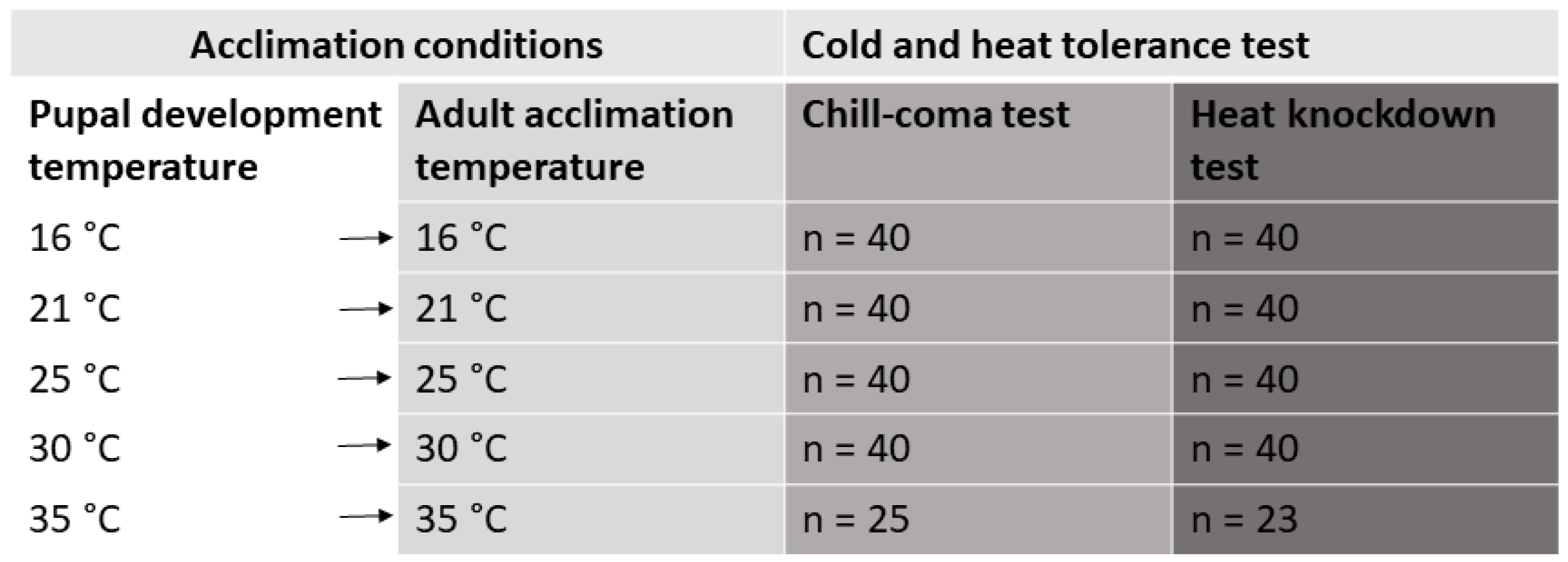 Insects 16 00402 g001