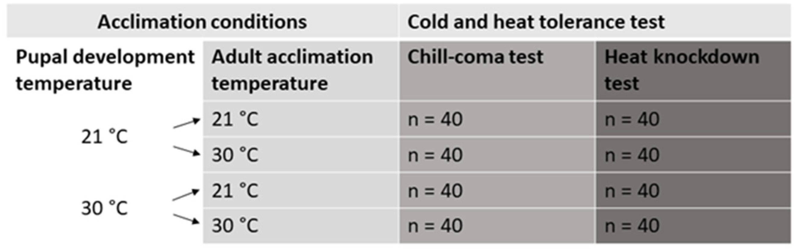 Insects 16 00402 g002