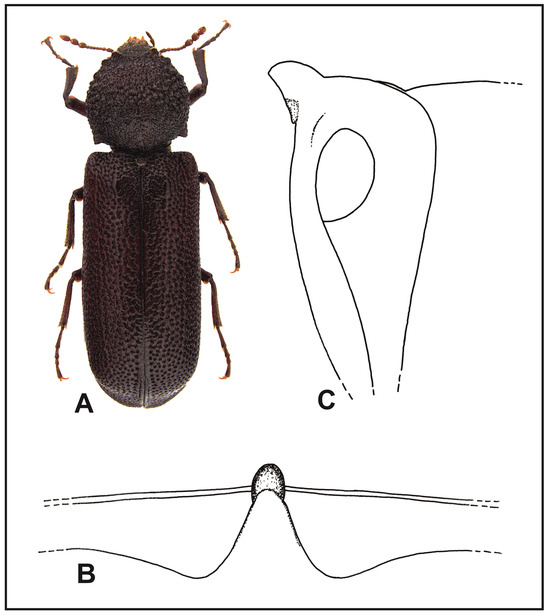 Insects 16 00411 g002