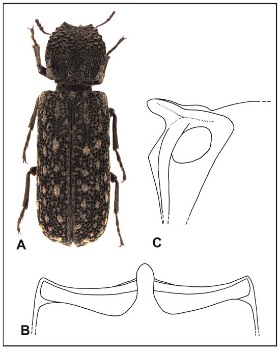 Insects 16 00411 g003