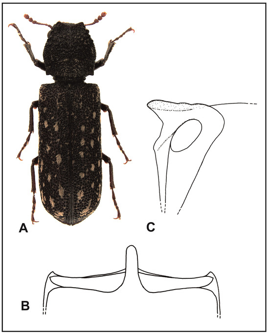Insects 16 00411 g005
