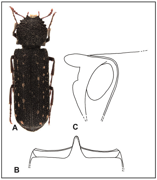 Insects 16 00411 g006