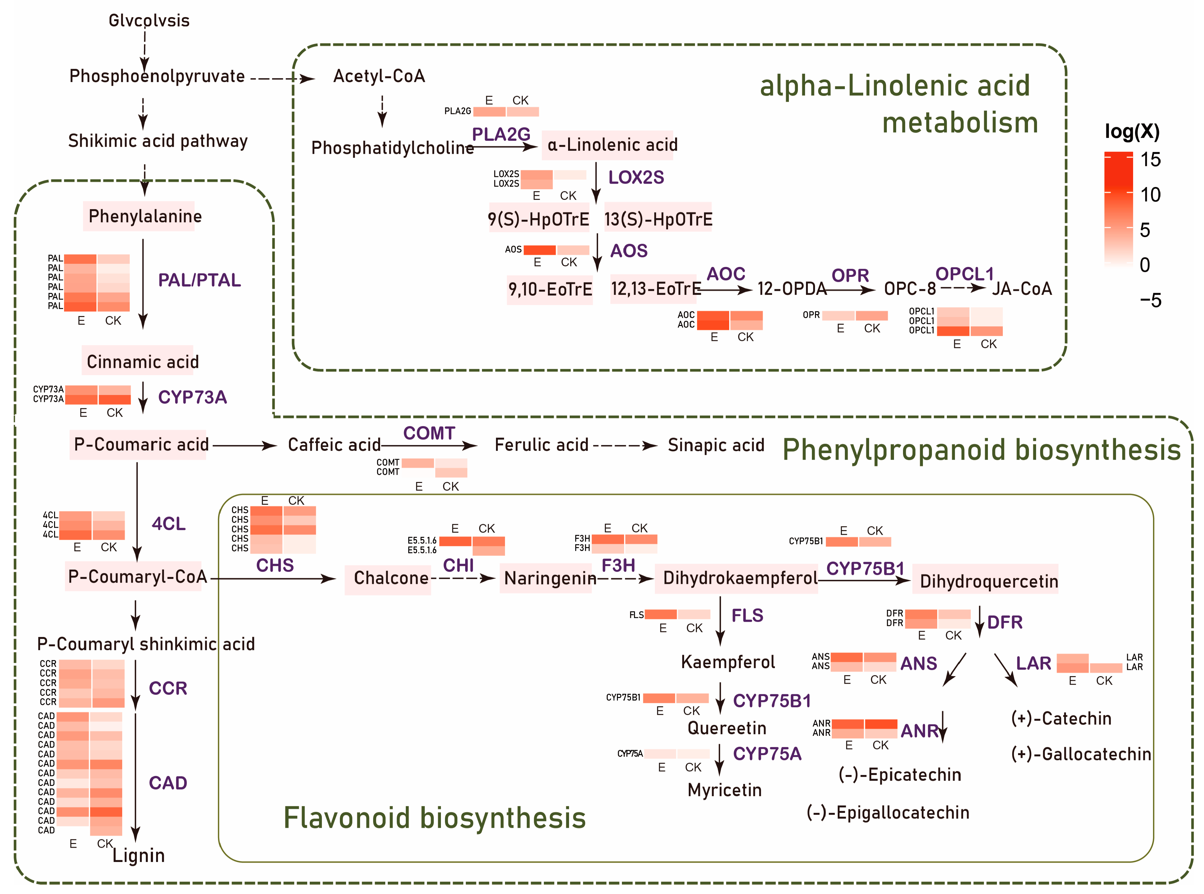 Insects 16 00412 g004