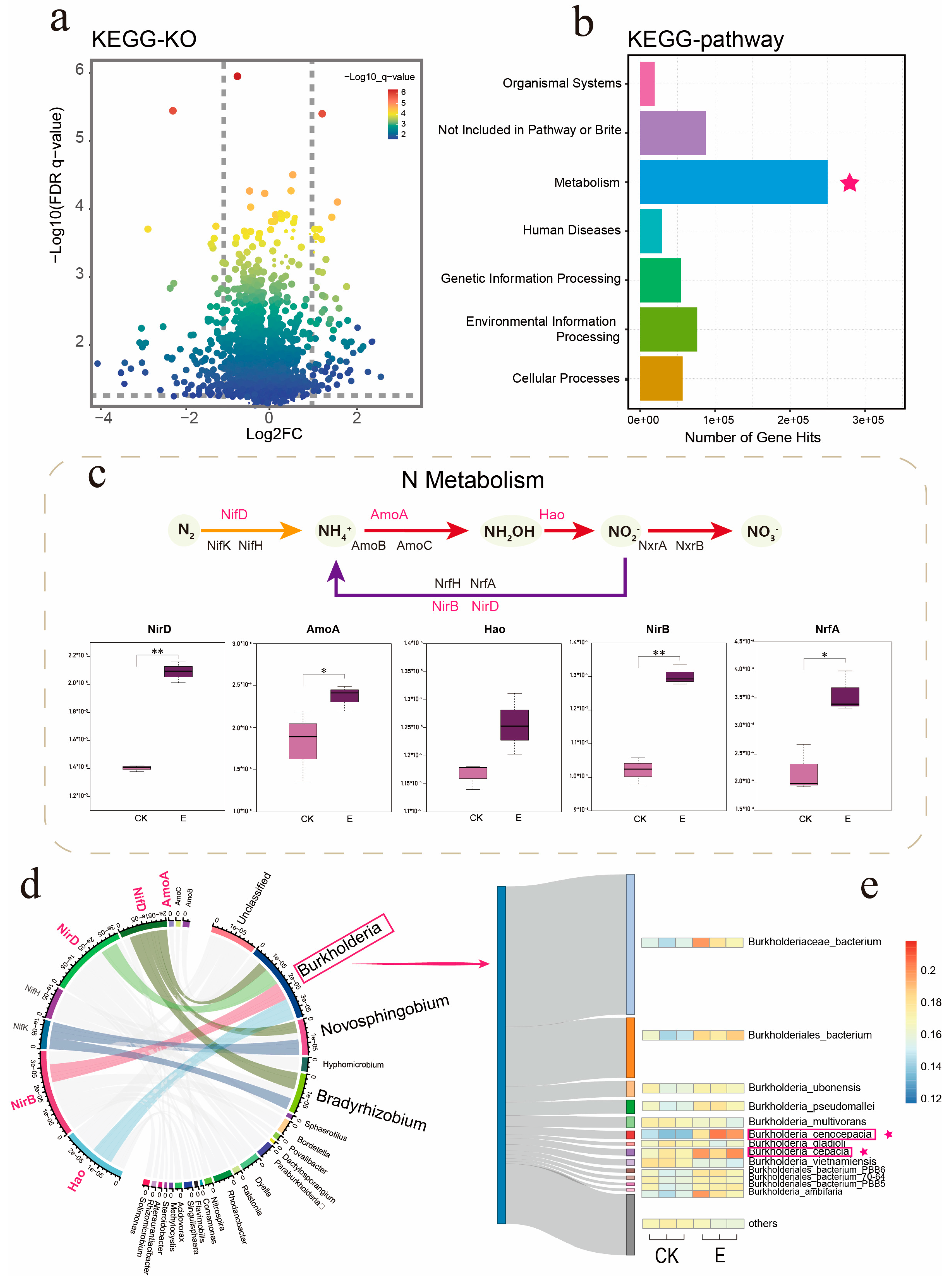 Insects 16 00412 g006