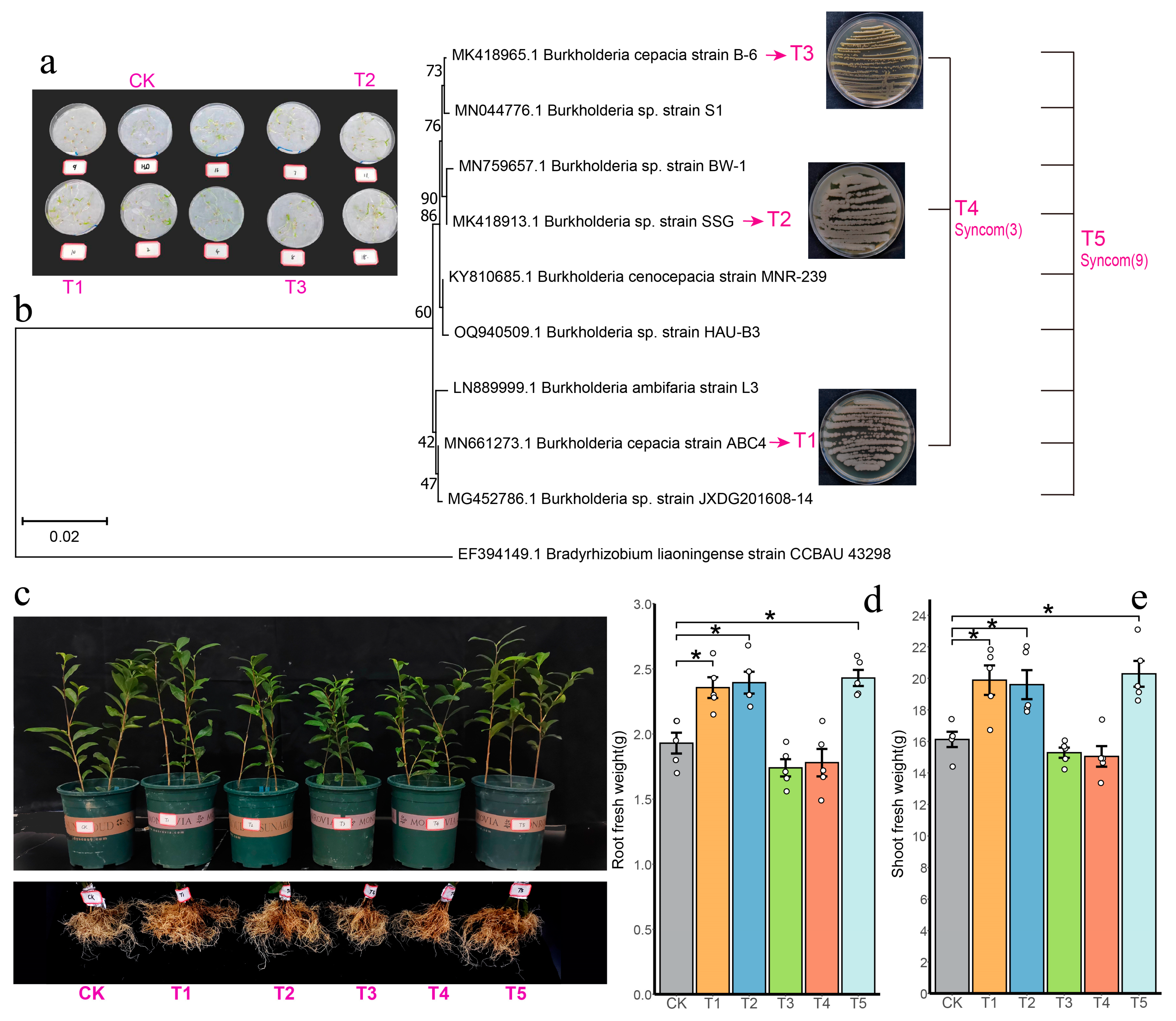 Insects 16 00412 g007