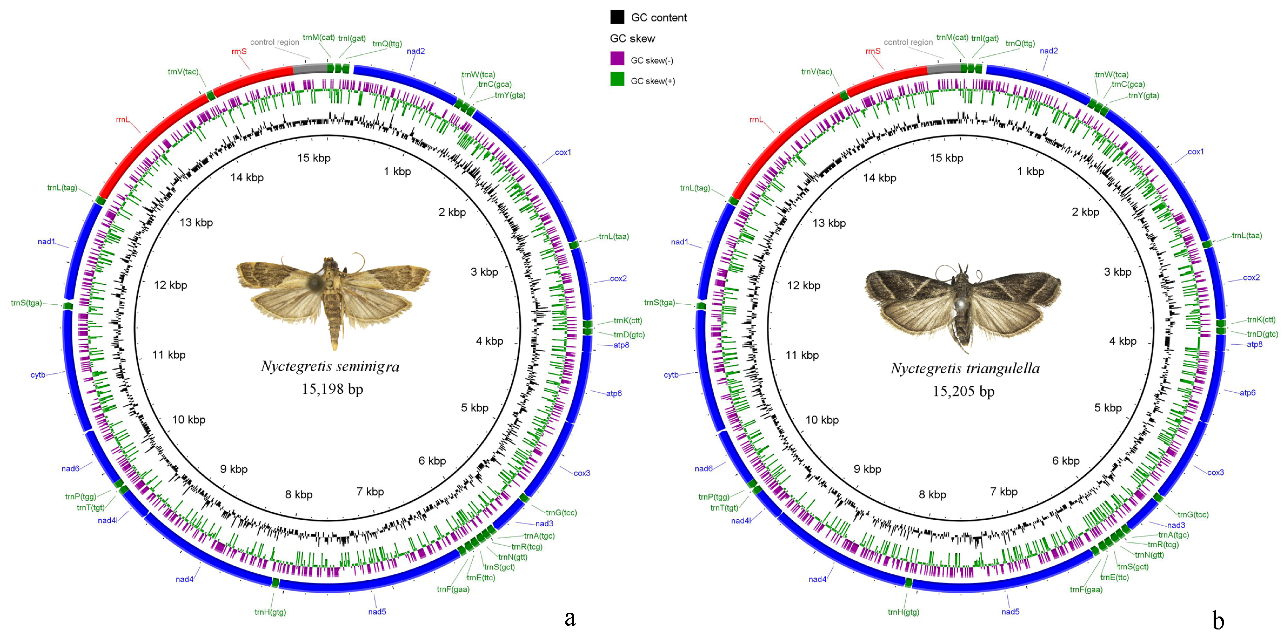 Insects 16 00413 g002