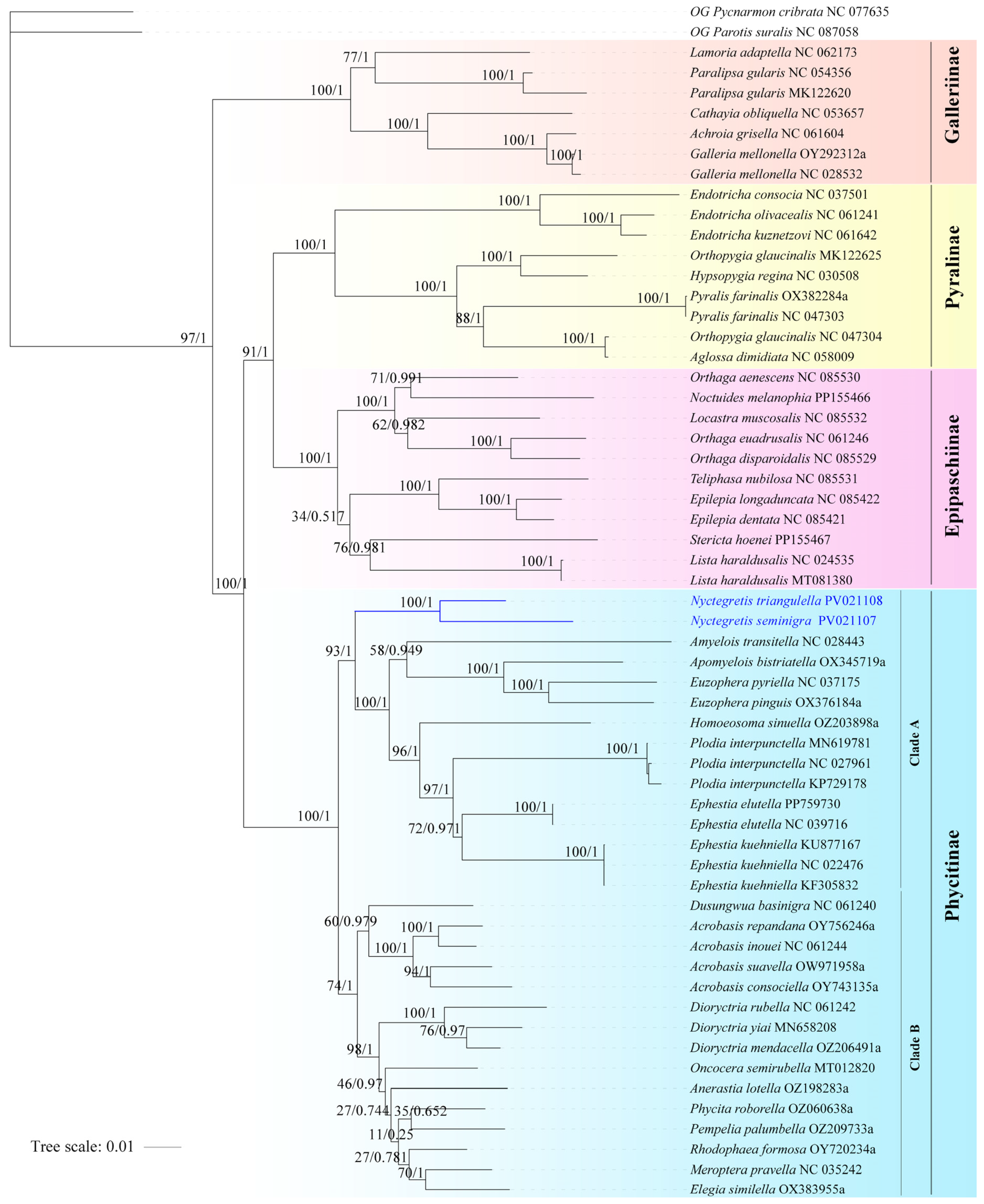 Insects 16 00413 g003