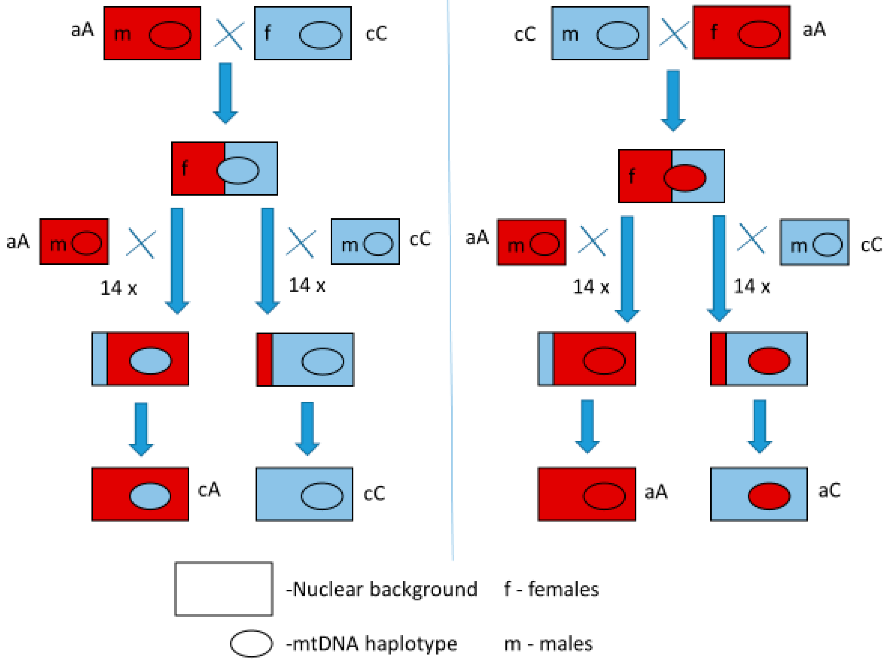 Insects 16 00415 g001