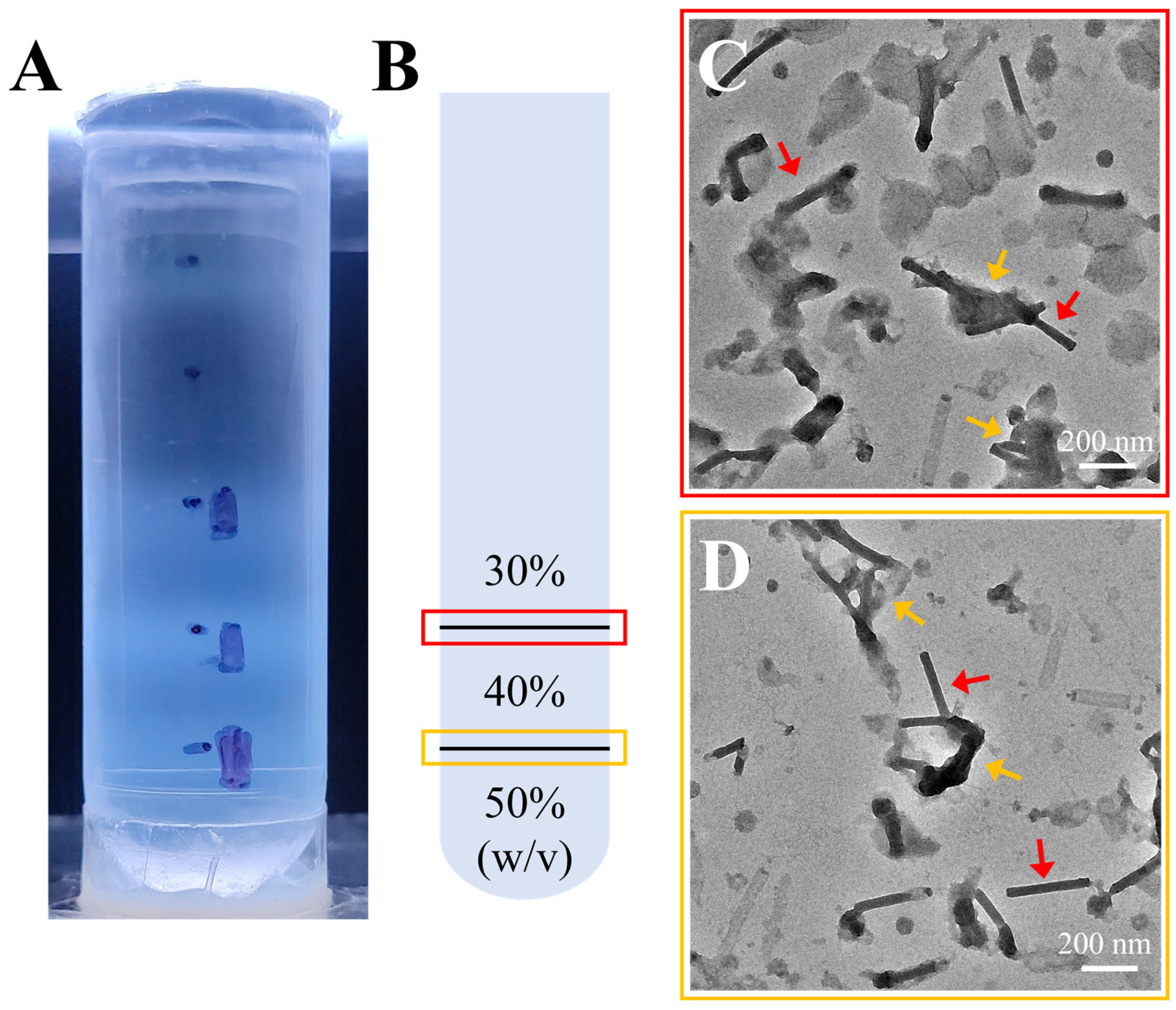 Insects 16 00424 g002