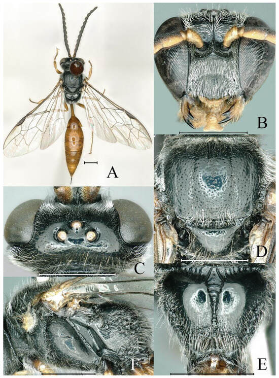 Insects 16 00432 g002