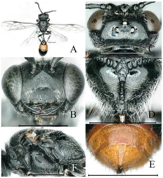 Insects 16 00432 g005