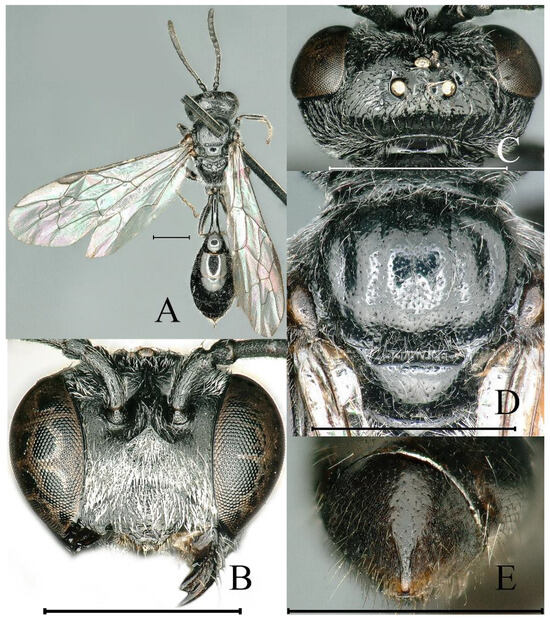 Insects 16 00432 g007