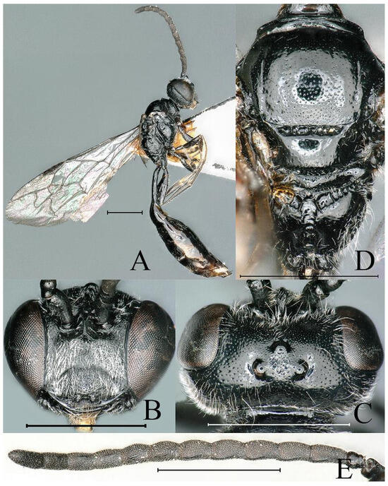 Insects 16 00432 g008