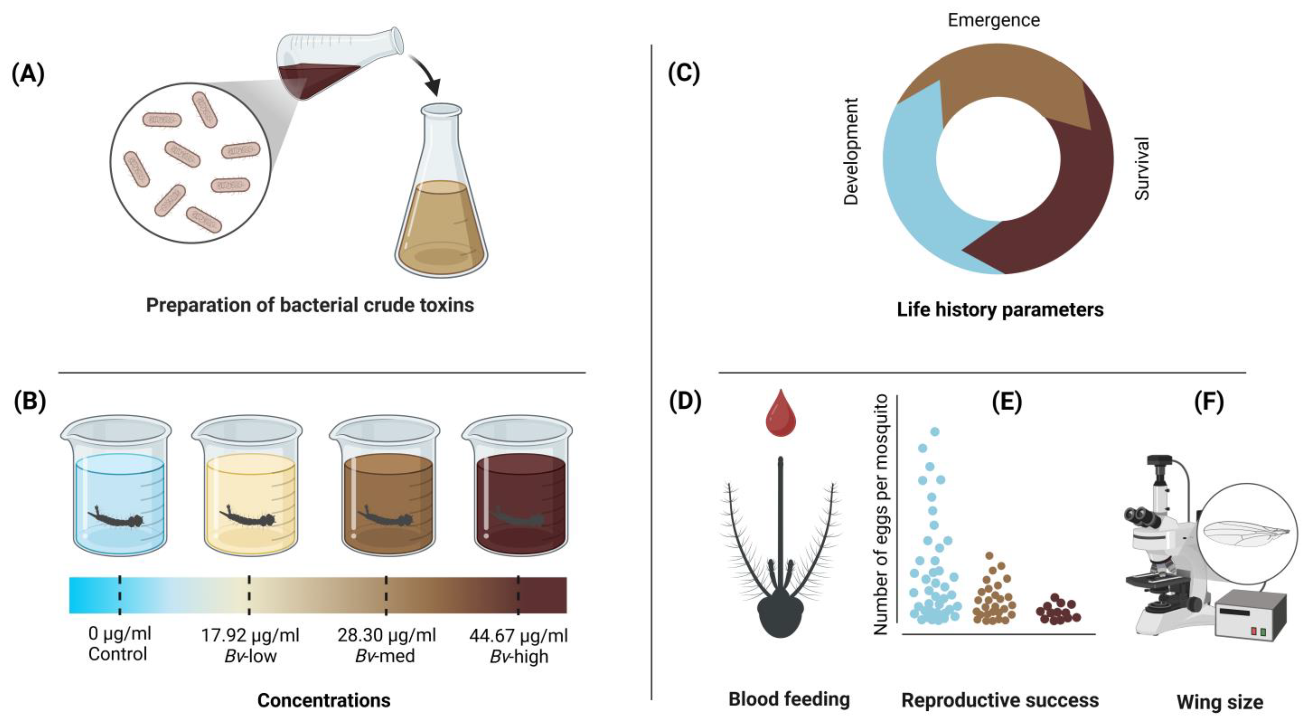 Insects 16 00434 g001