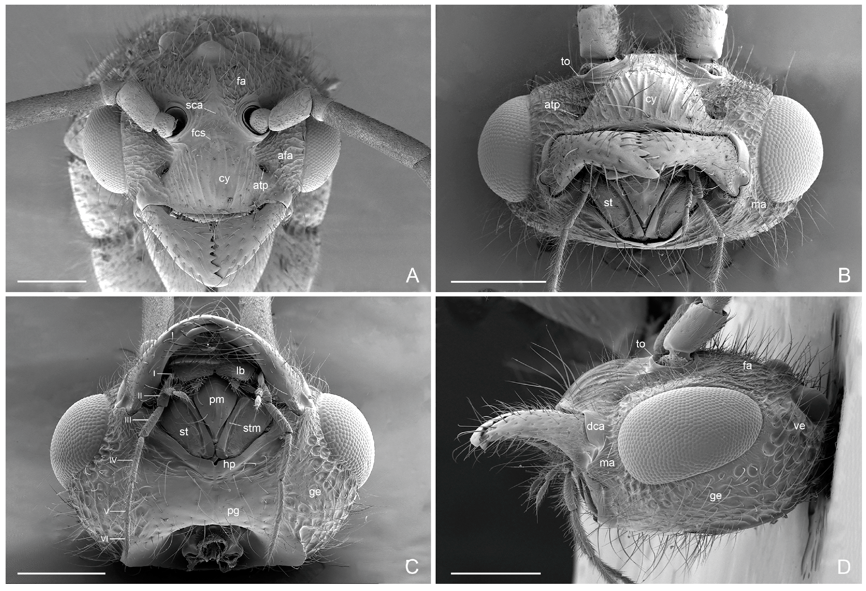 Insects 16 00436 g002