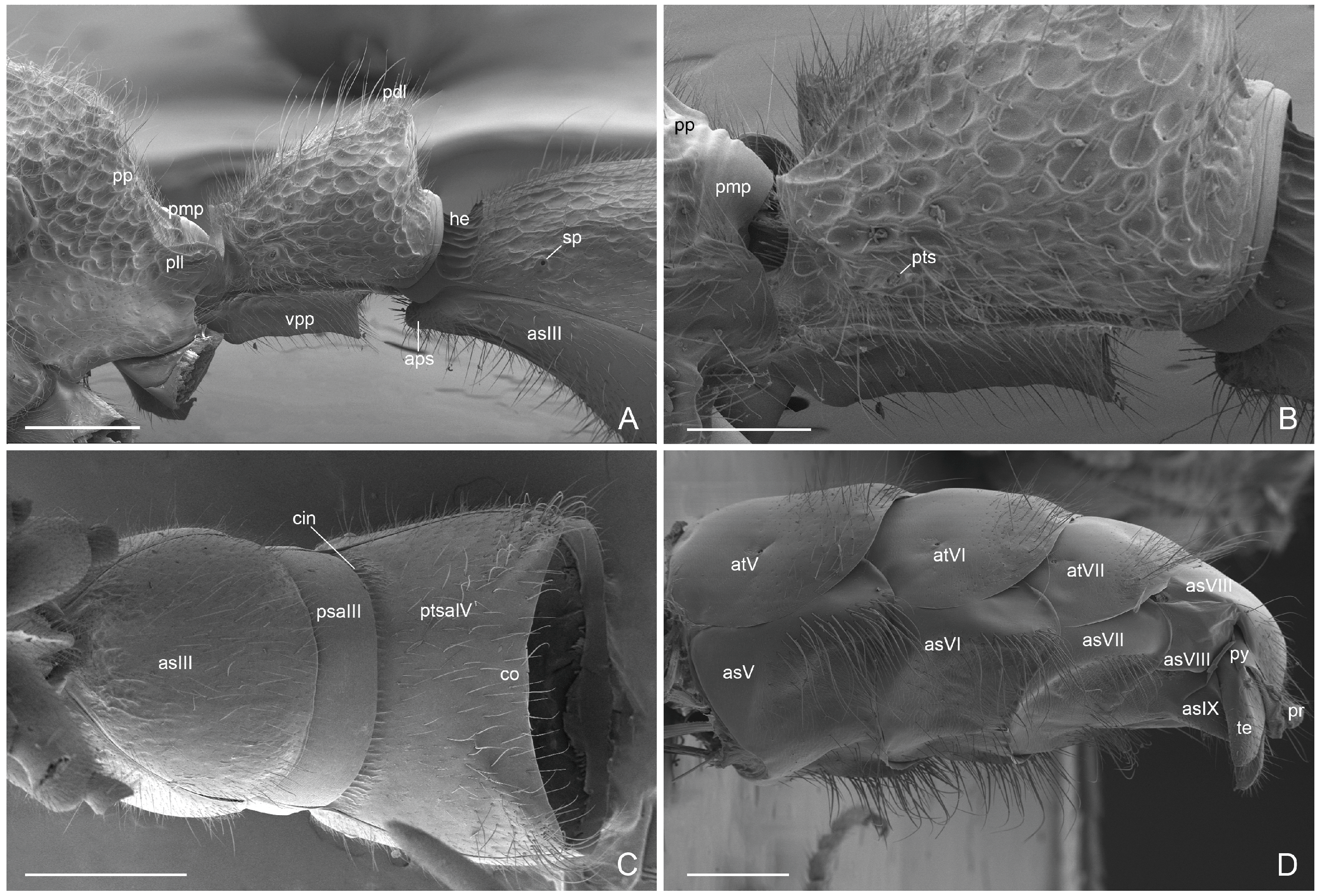 Insects 16 00436 g005