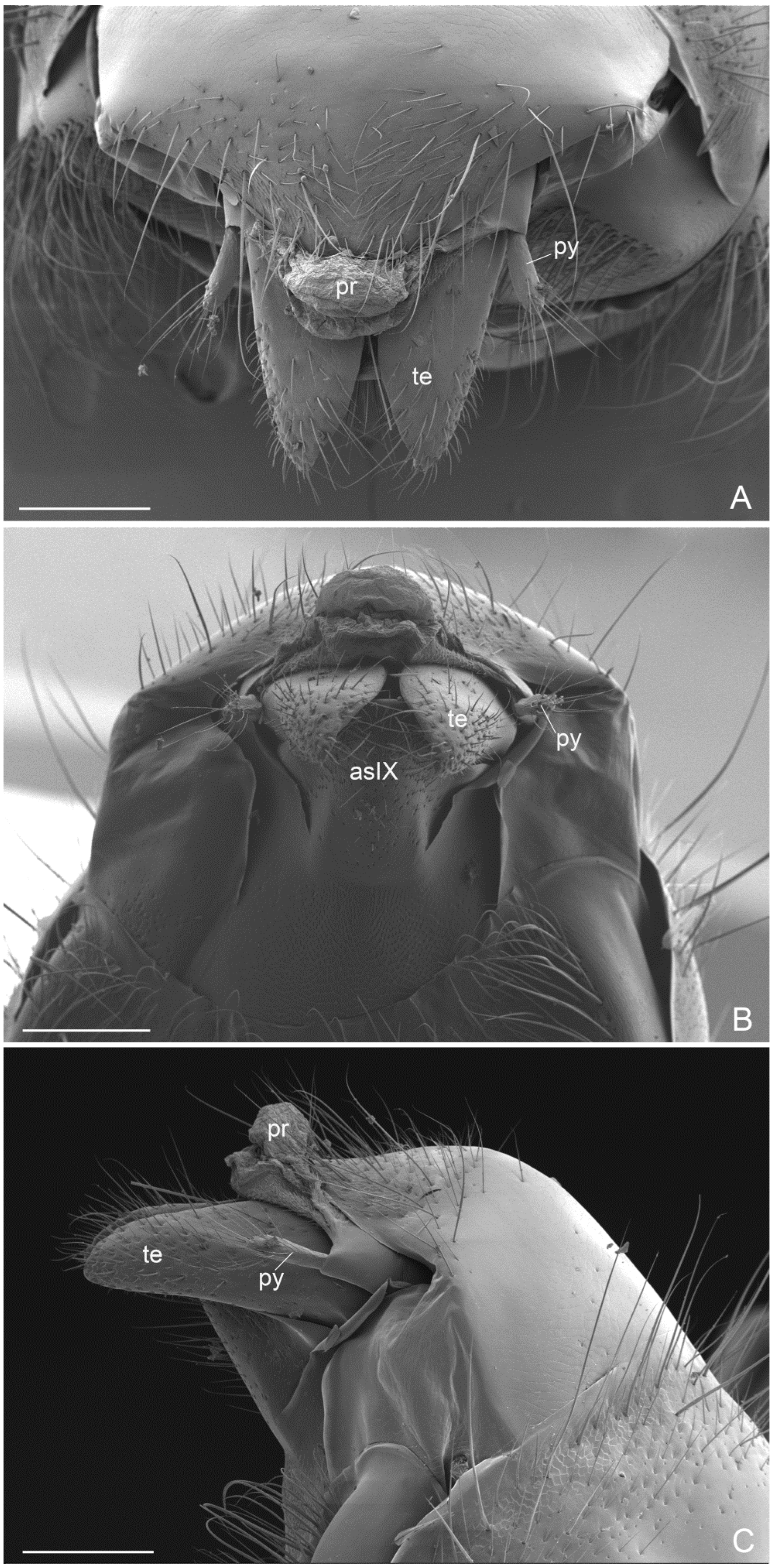 Insects 16 00436 g006