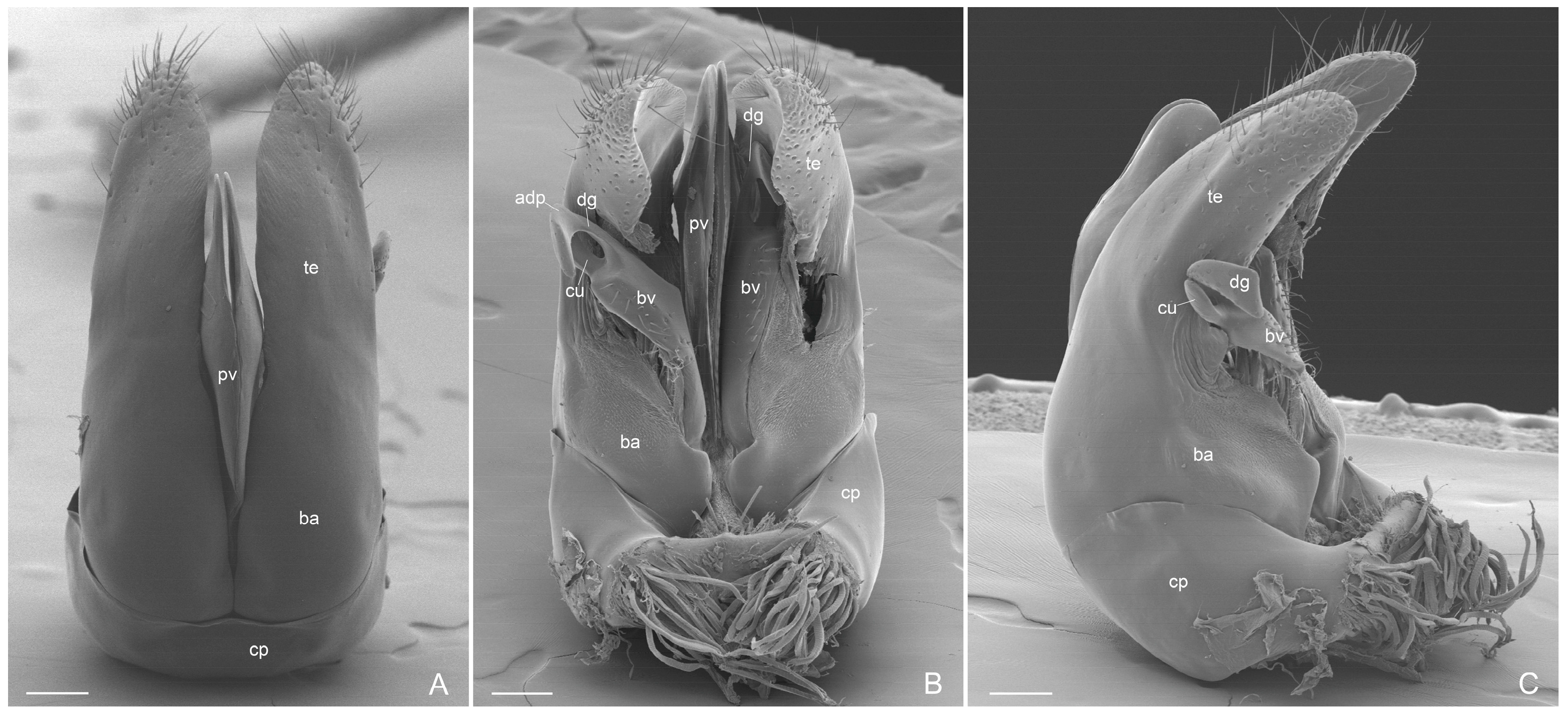 Insects 16 00436 g007