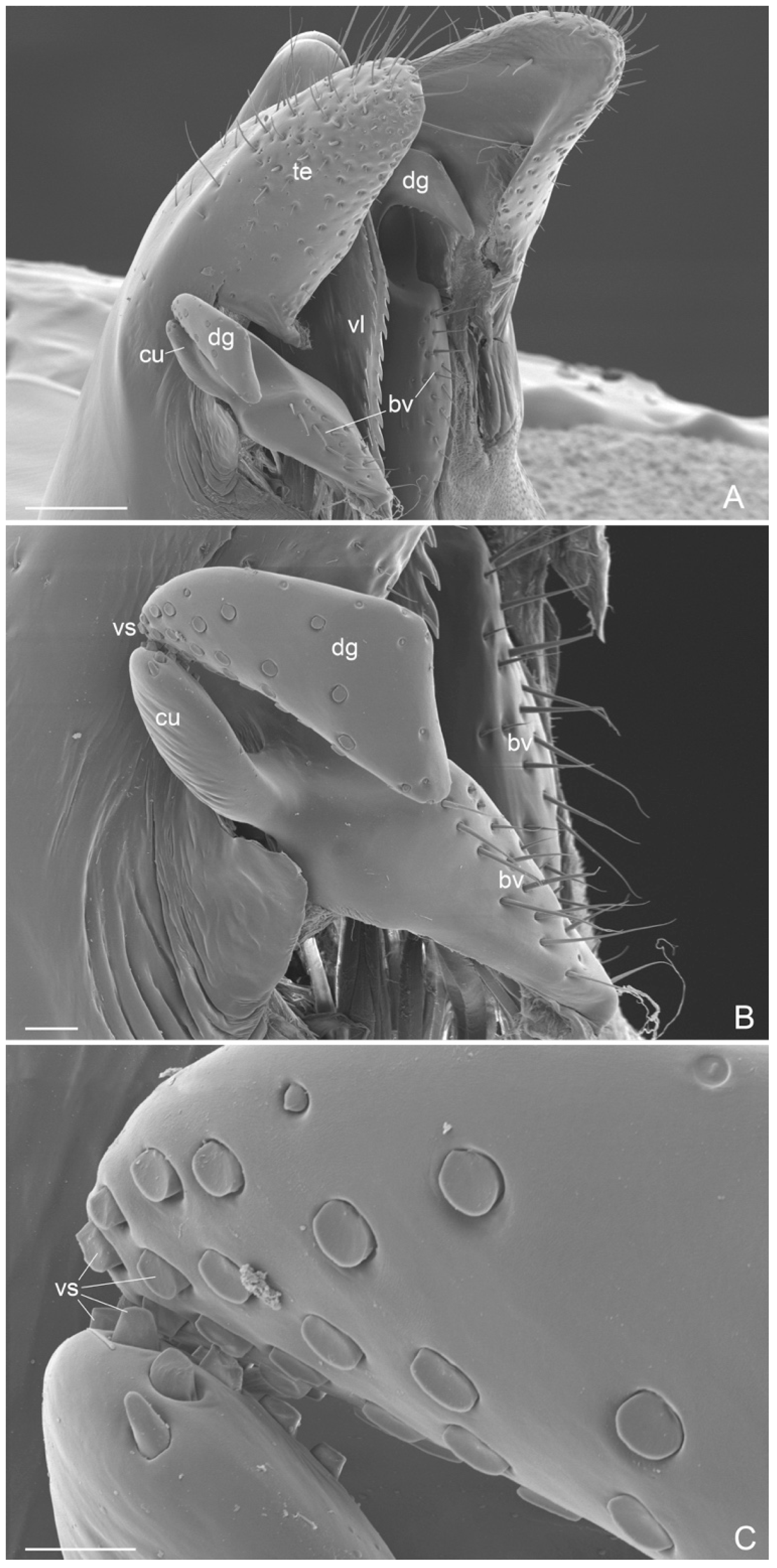 Insects 16 00436 g008