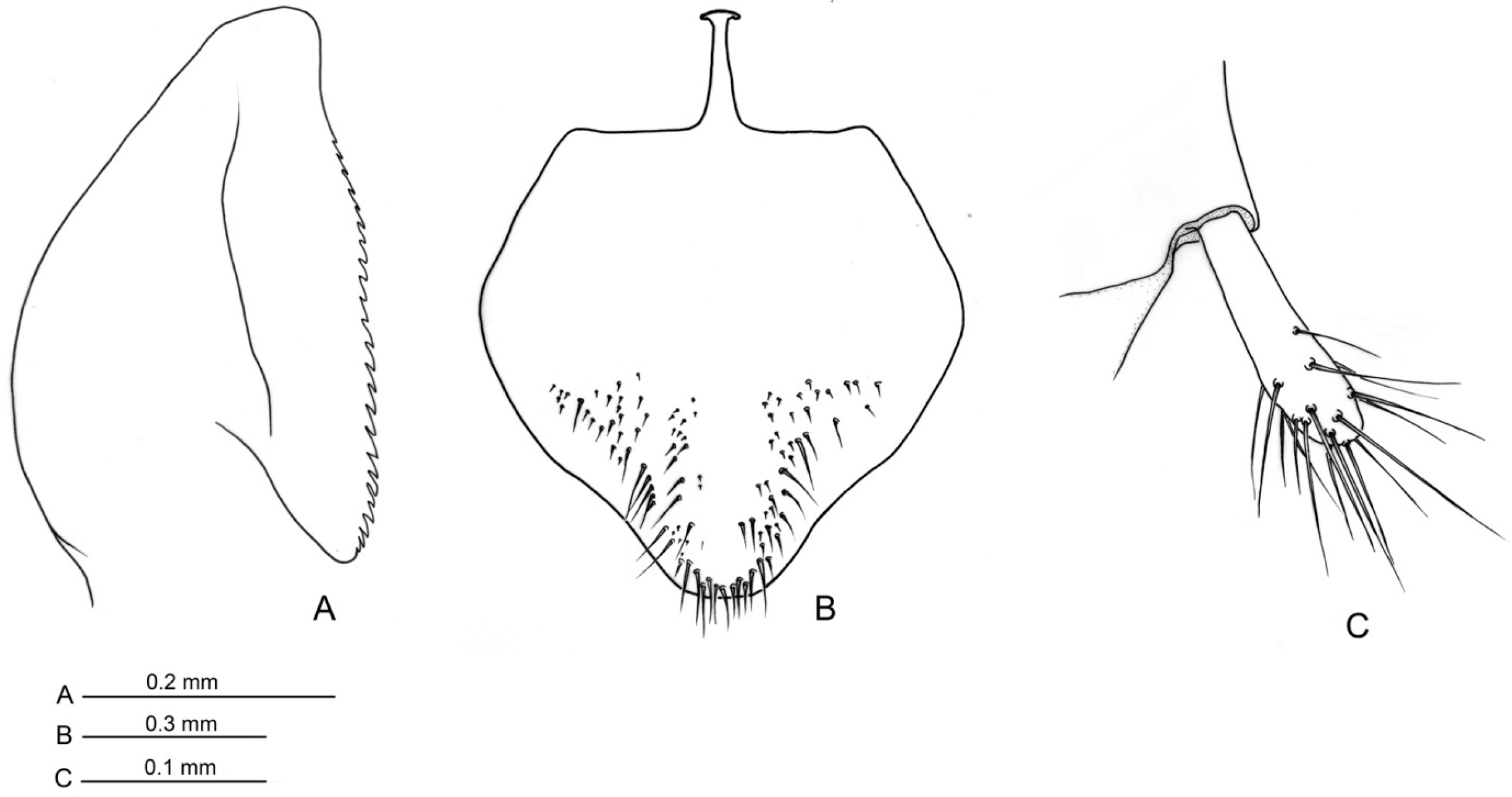 Insects 16 00436 g009