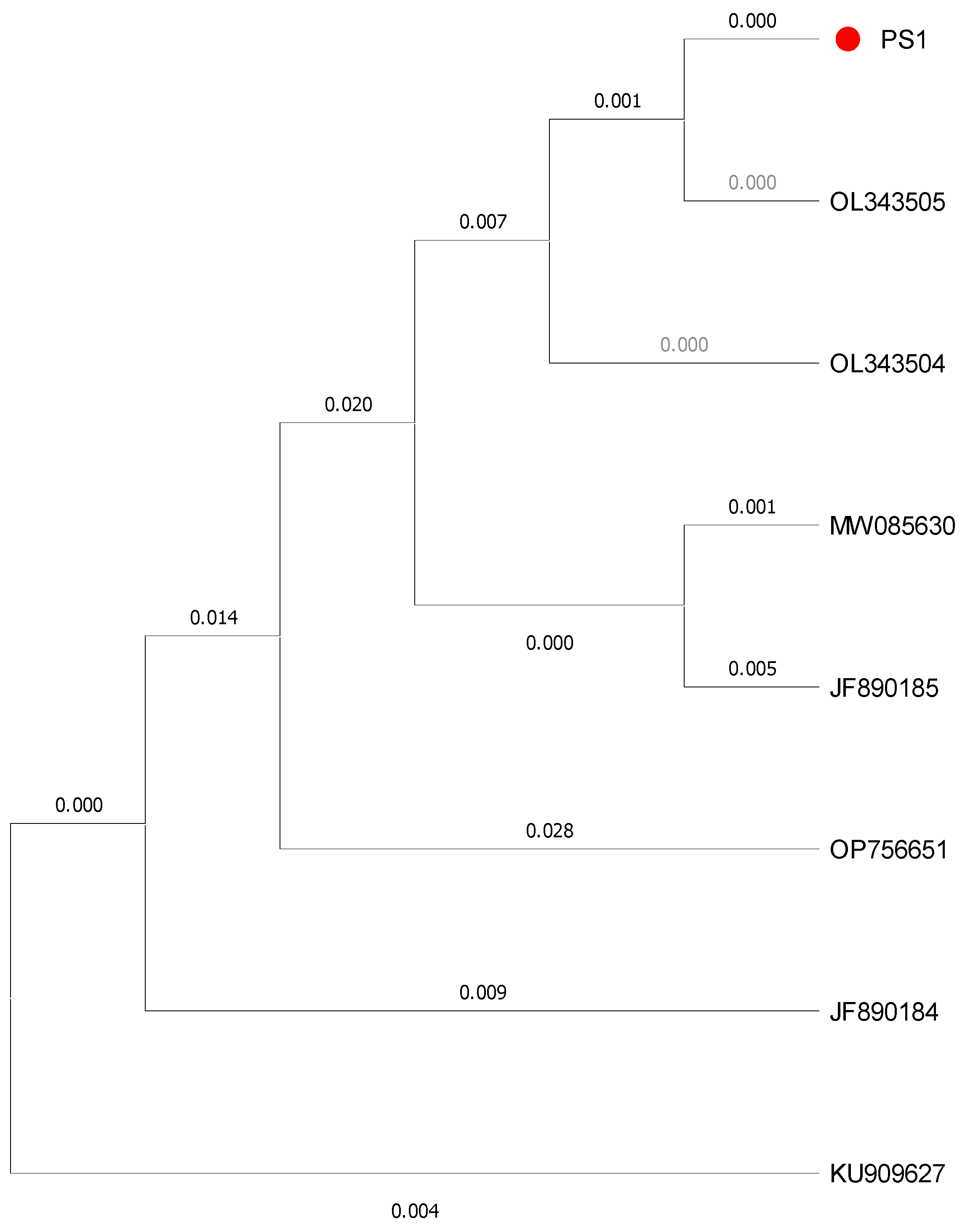 Insects 16 00437 g002