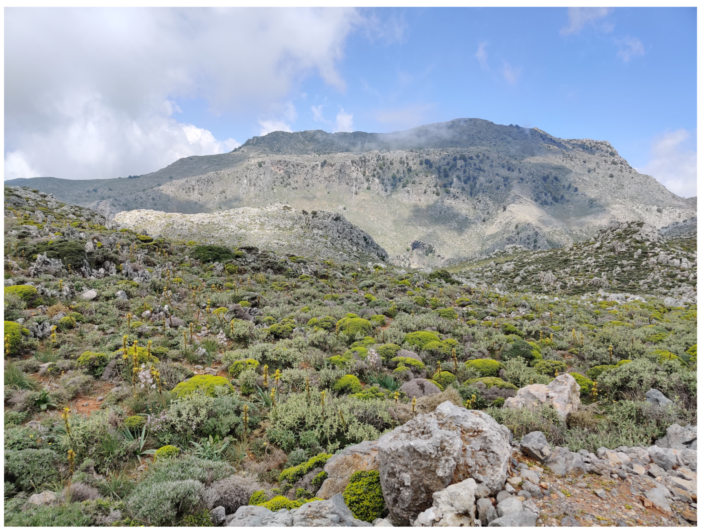 Insects 16 00438 g001