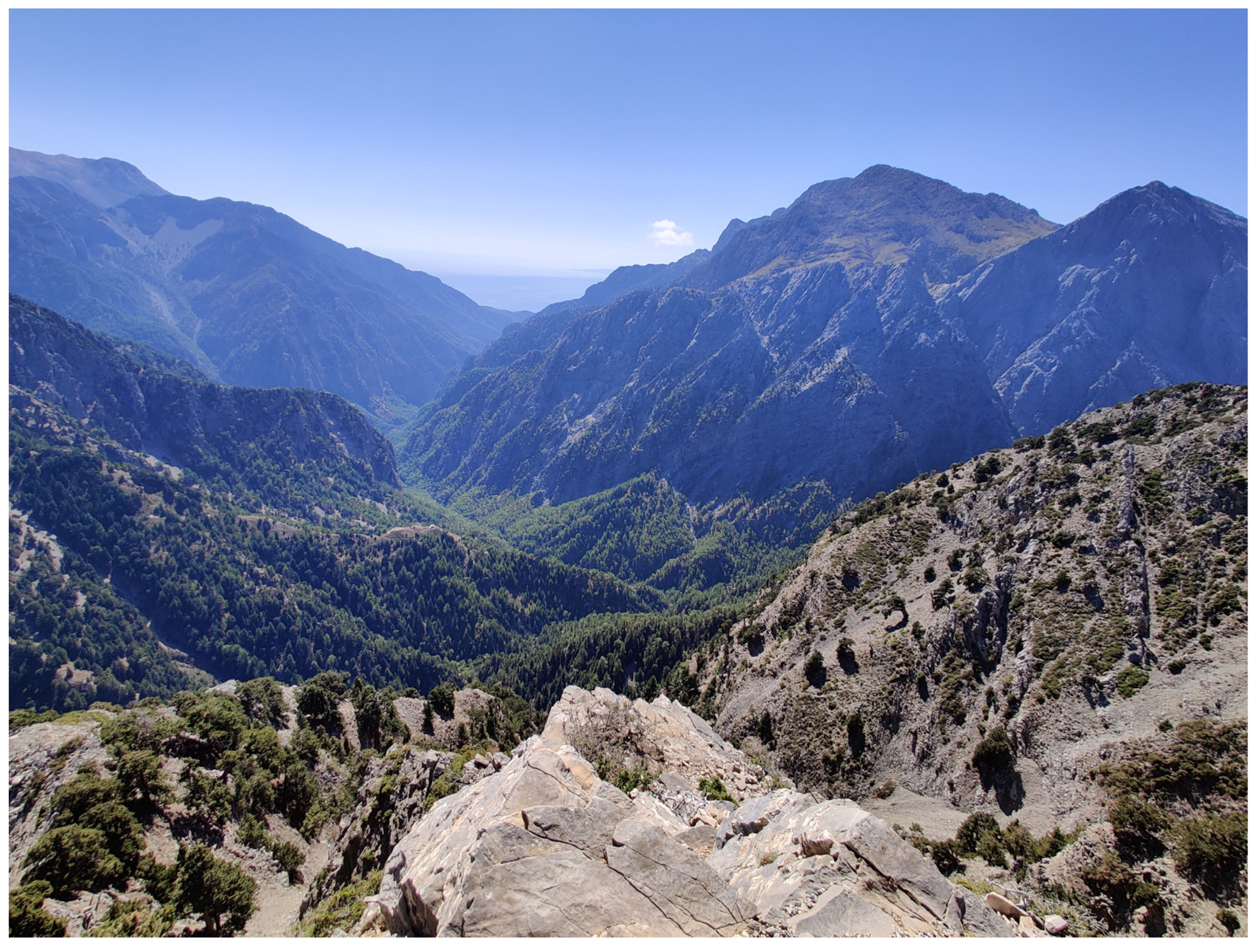 Insects 16 00438 g002