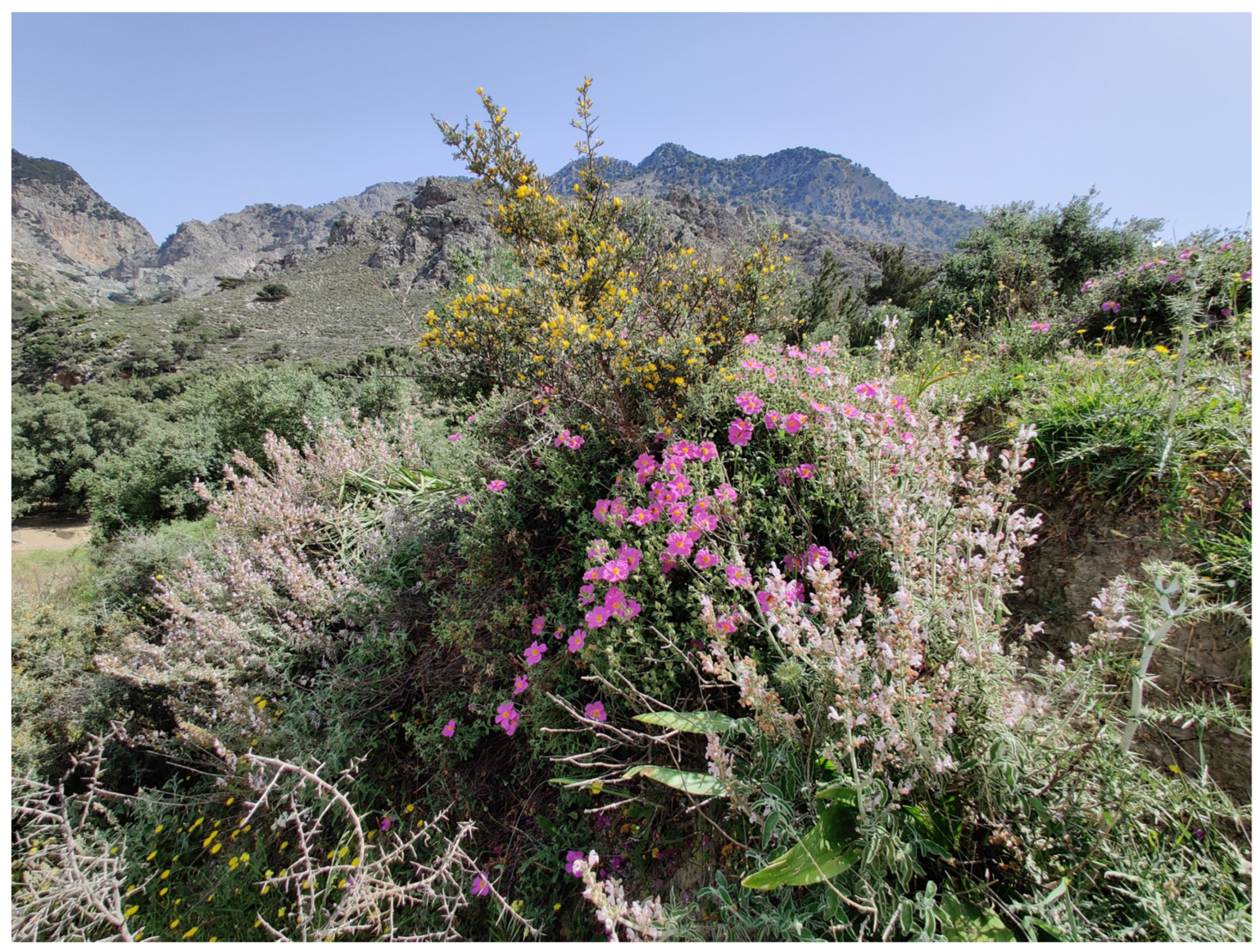 Insects 16 00438 g003