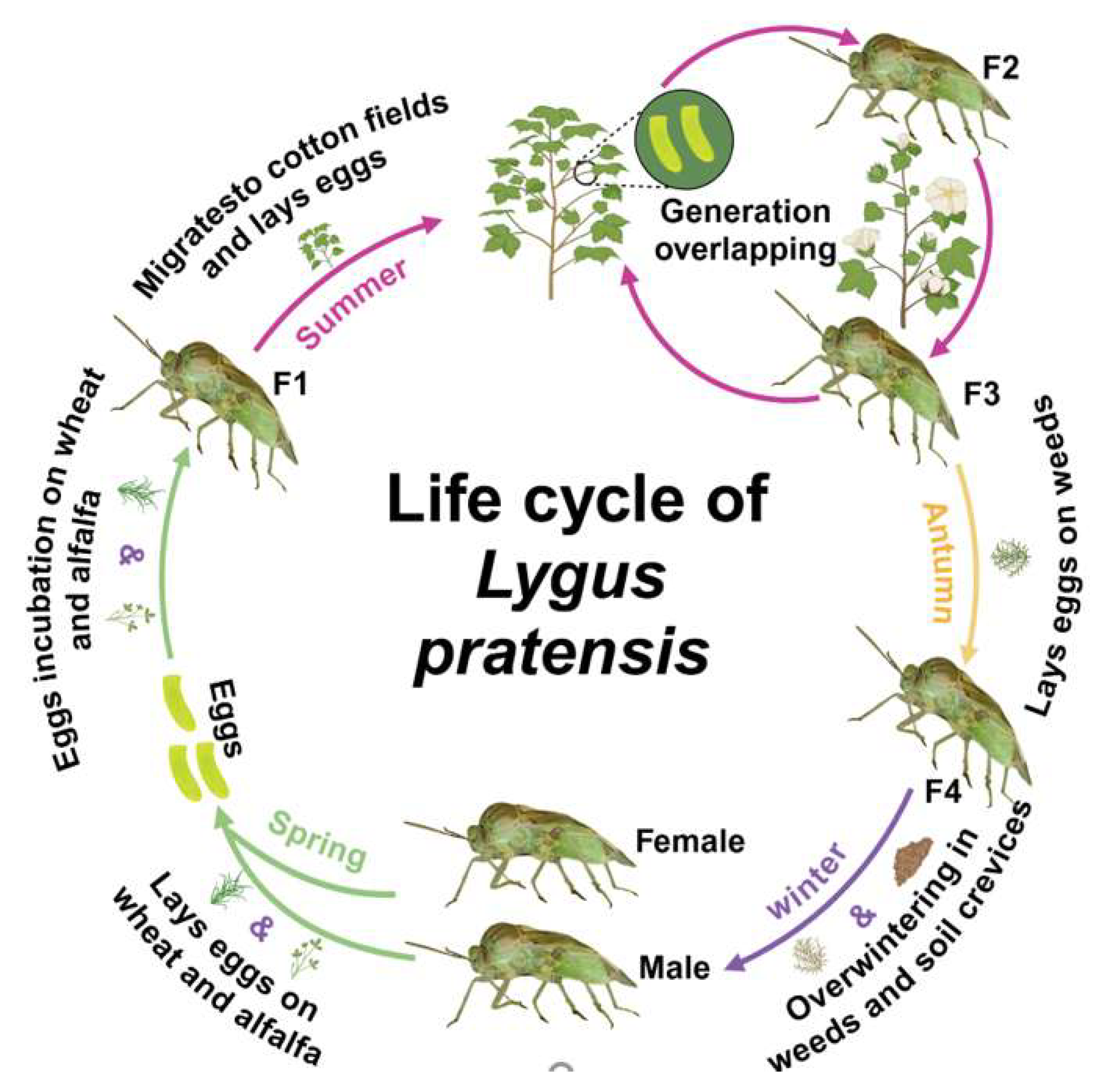 Insects 16 00441 g003