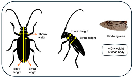 Insects 16 00444 g0a1