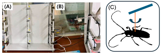 Insects 16 00444 g0a2