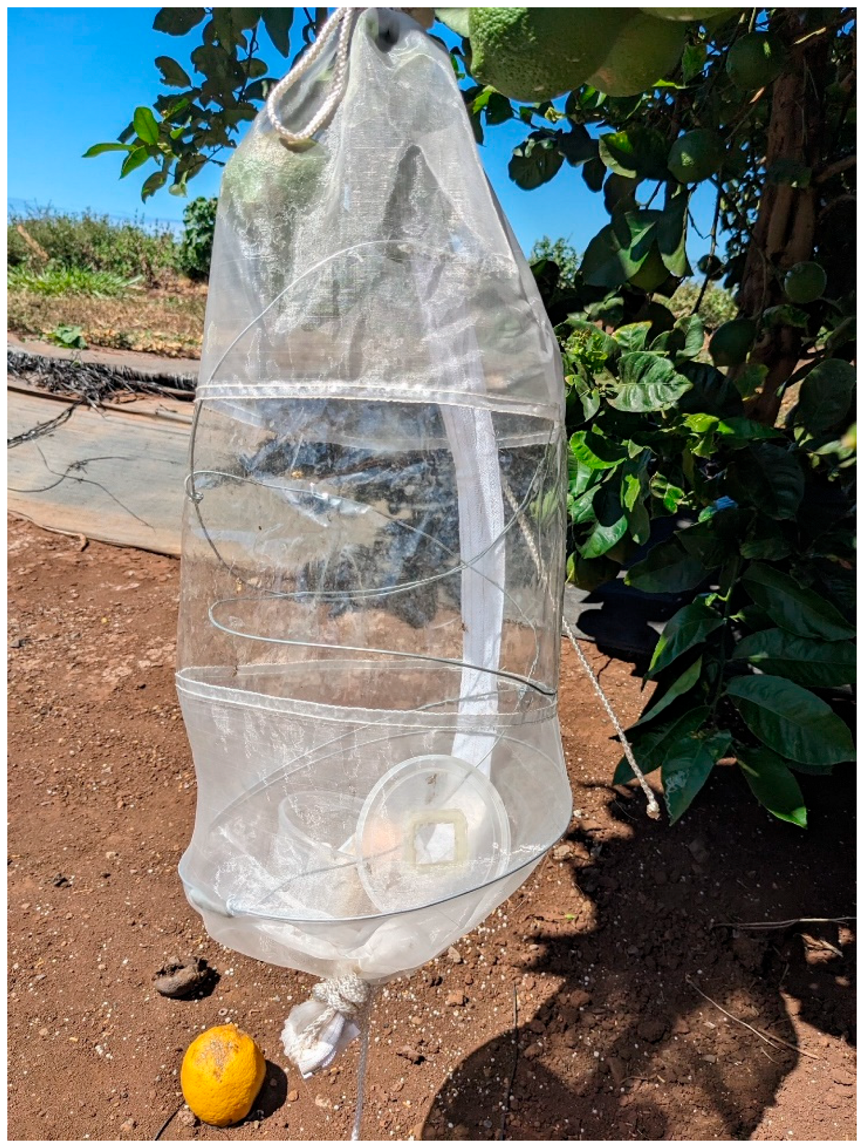 Insects 16 00447 g002