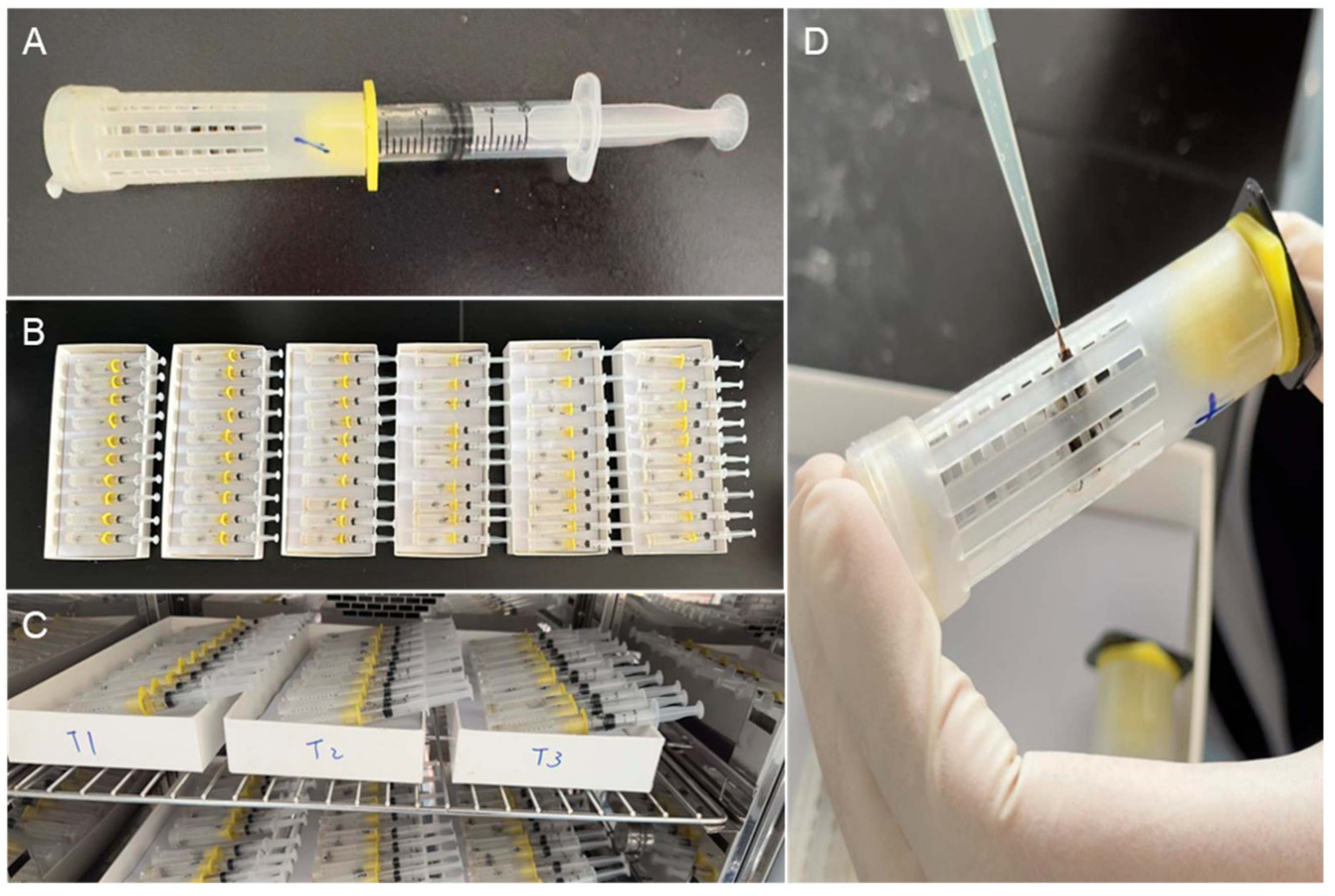 Insects 16 00455 g002