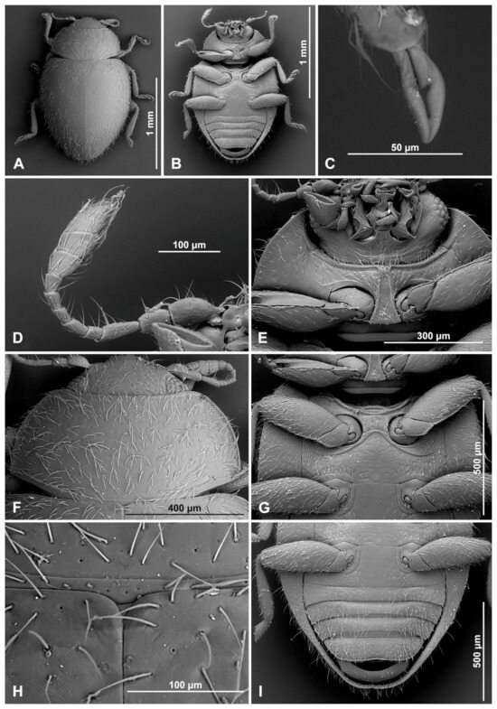 Insects 16 00456 g003