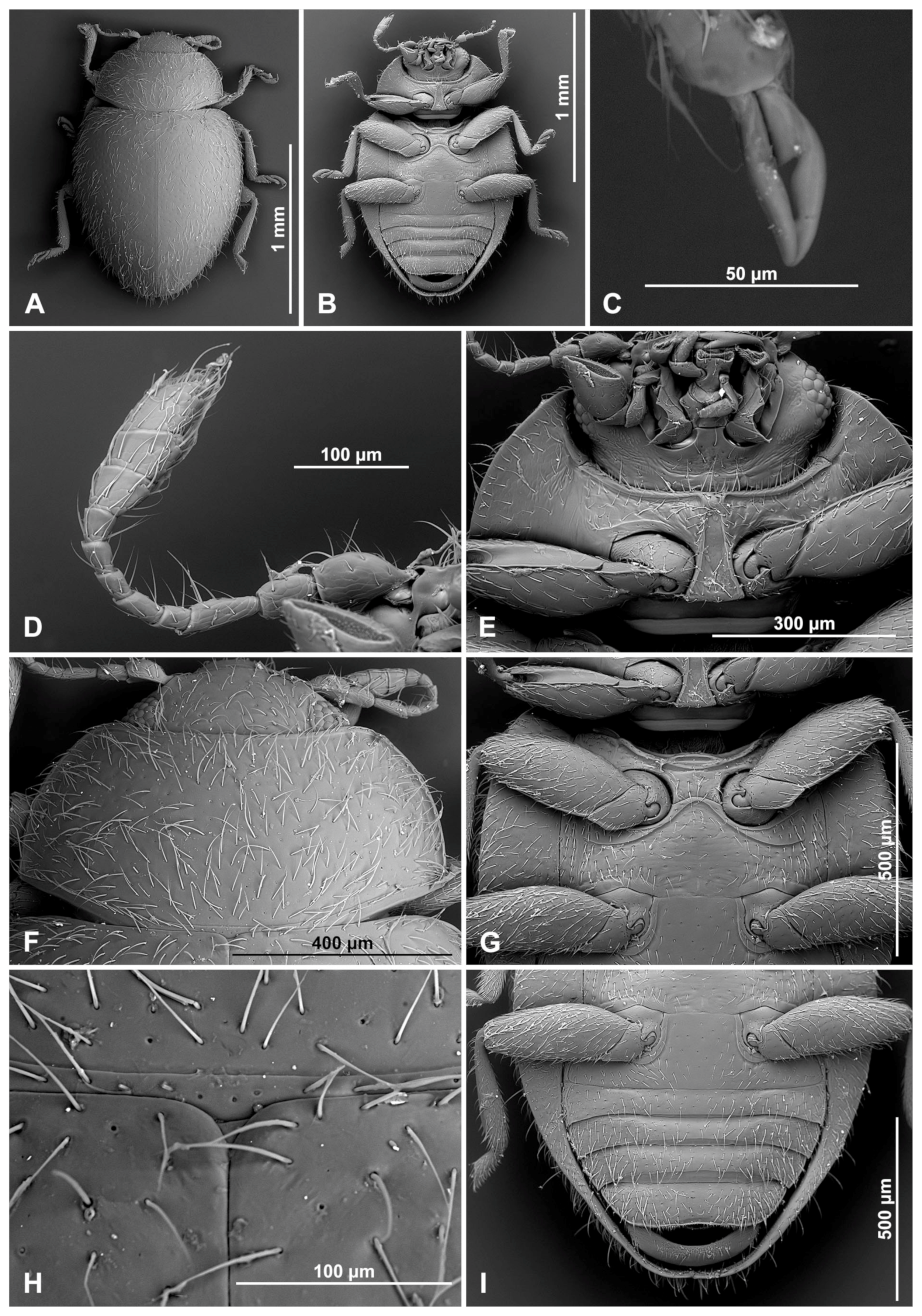 Insects 16 00456 g003 Insects 16 00456 g003