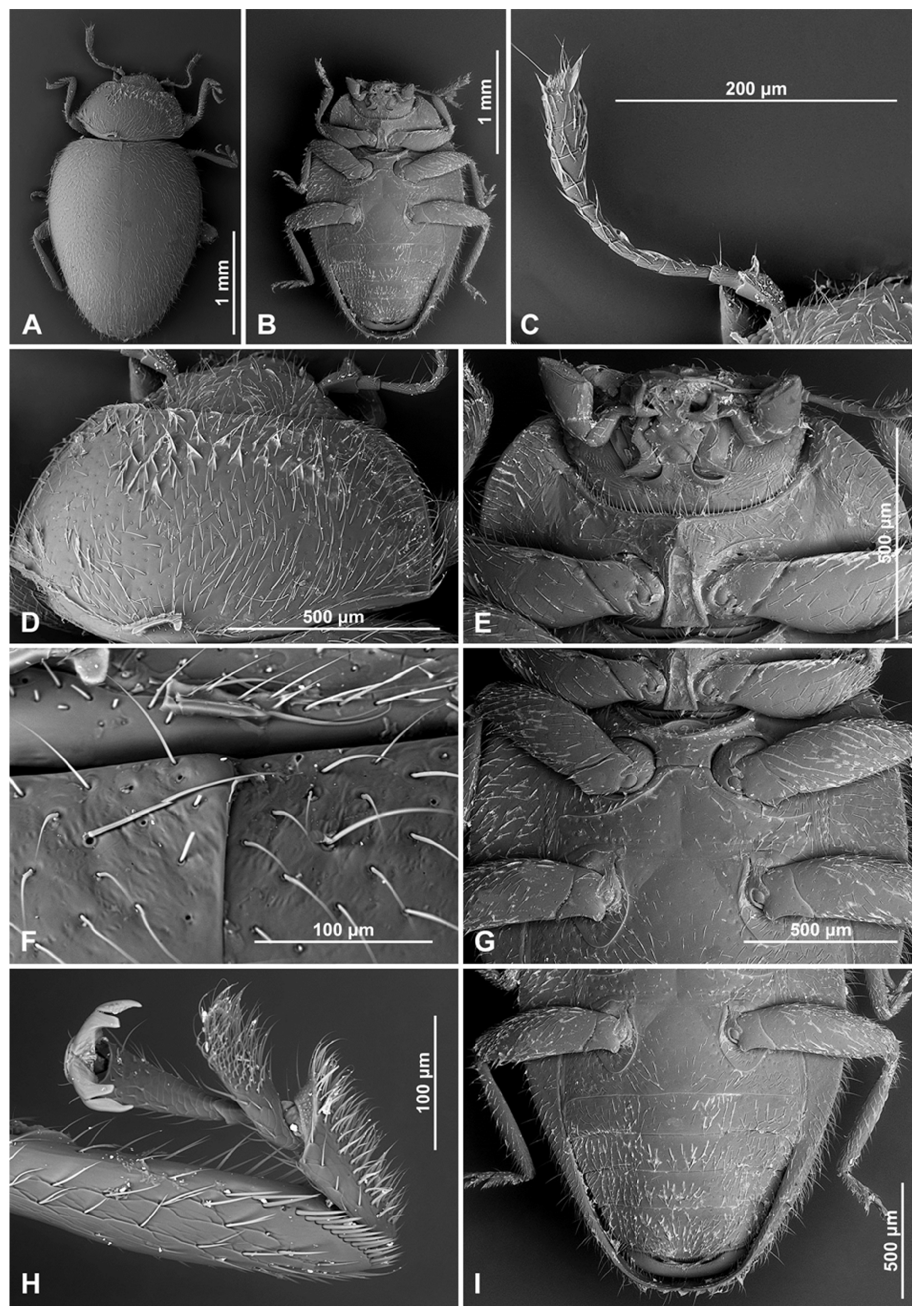 Insects 16 00456 g008 Insects 16 00456 g008