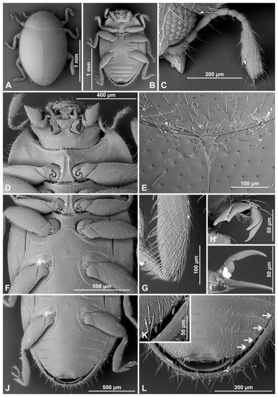 Insects 16 00456 g010