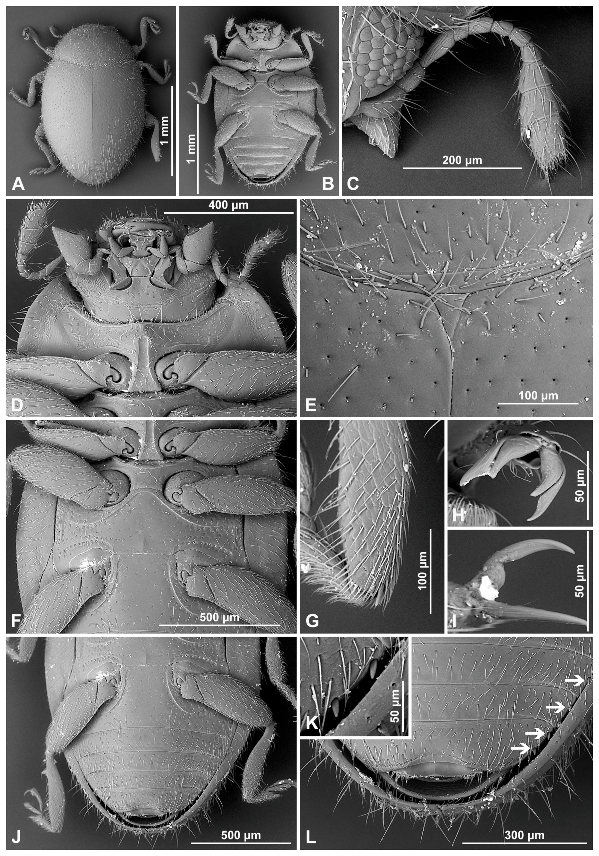 Insects 16 00456 g010 Insects 16 00456 g010