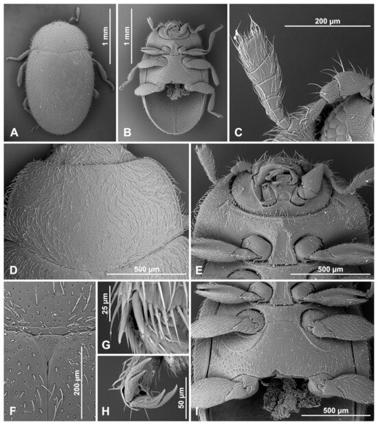 Insects 16 00456 g015