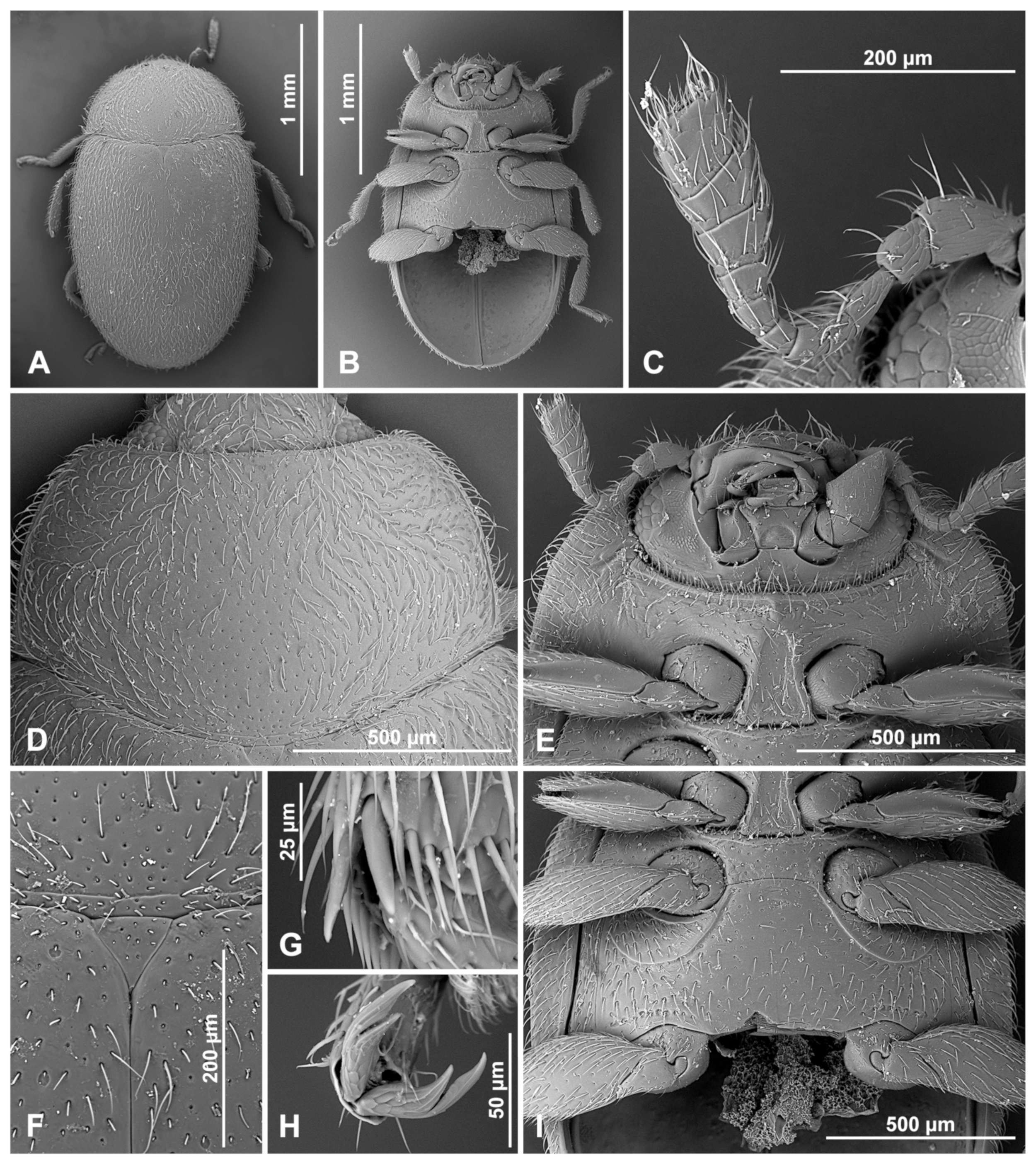 Insects 16 00456 g015 Insects 16 00456 g015