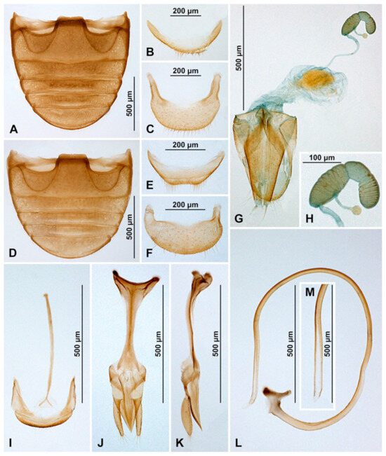 Insects 16 00456 g018