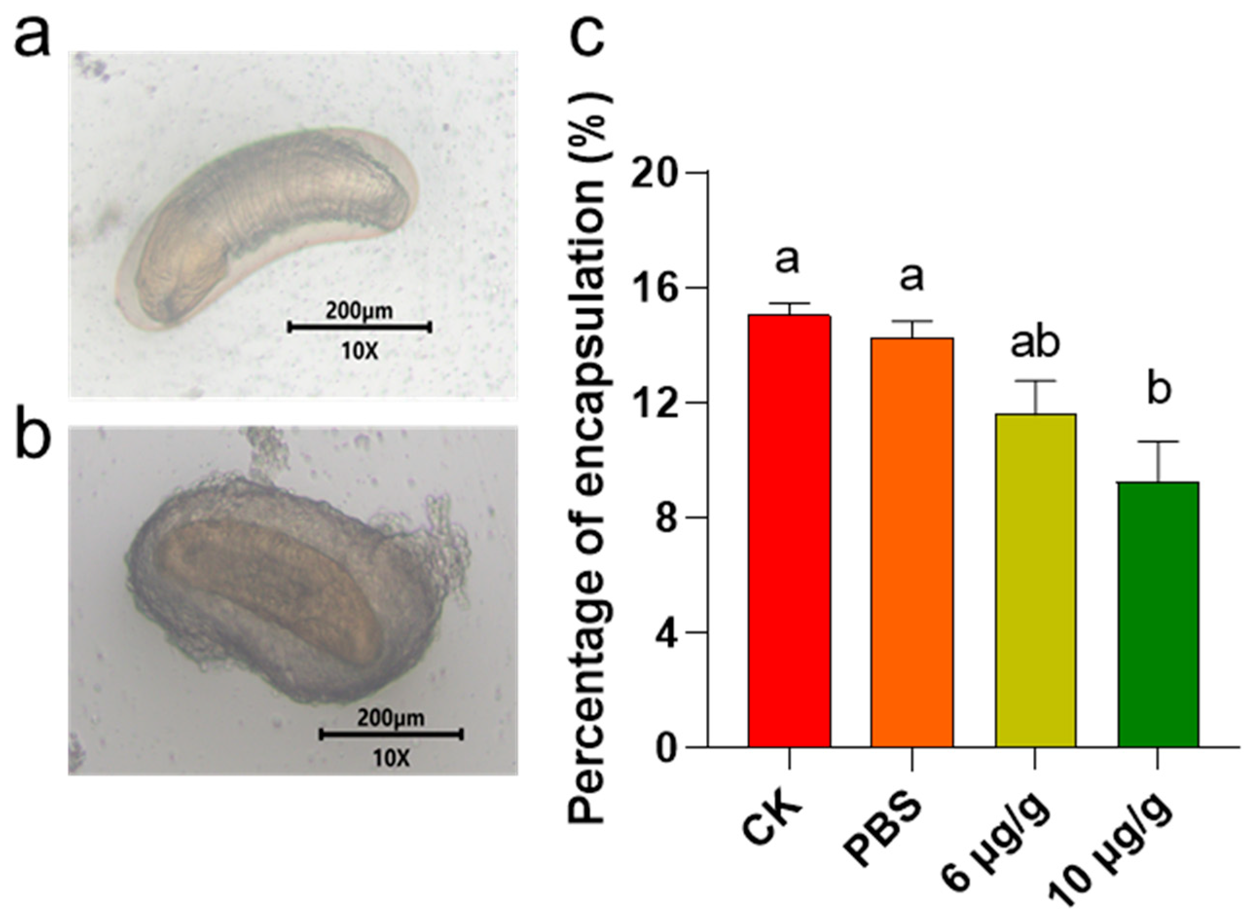 Insects 16 00474 g002