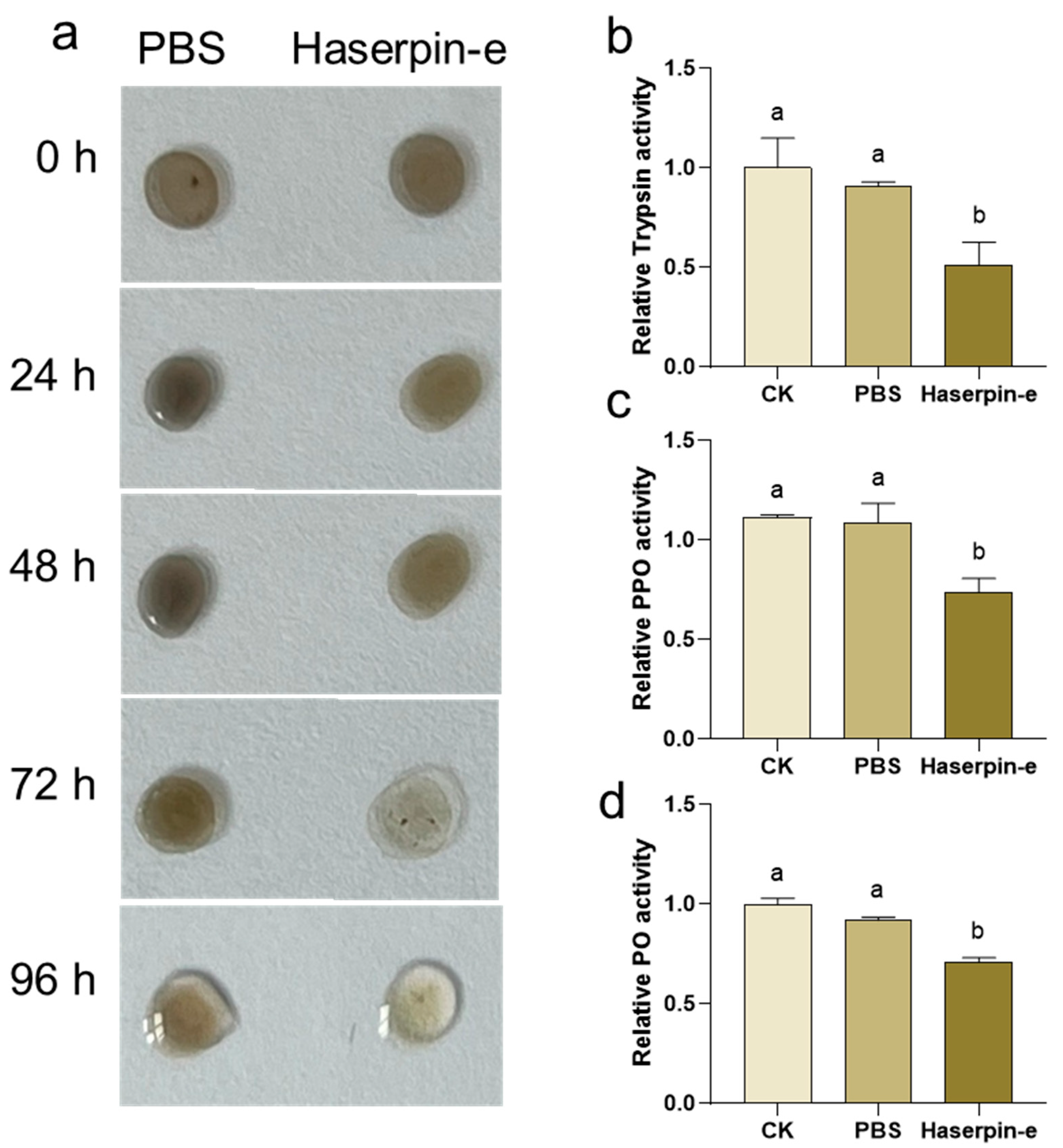 Insects 16 00474 g003